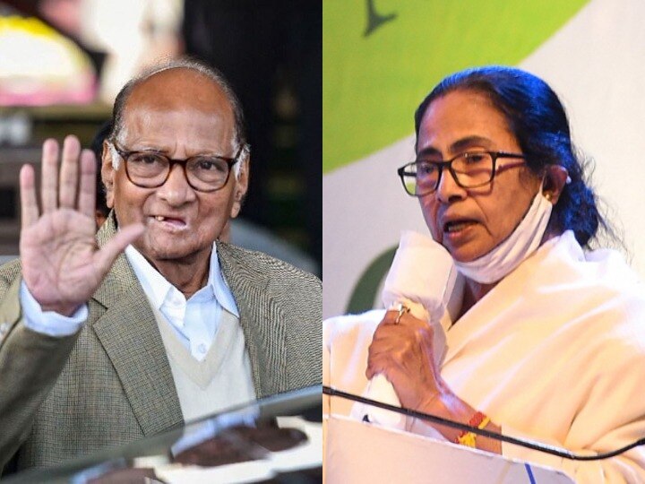 West Bengal CM Mamata Banerjee speaks to NCP Chief Sharad Pawar ममता बनर्जी ने शरद पवार को किया फोन, क्या विपक्षी नेताओं की बड़ी रैली आयोजित करेंगी सीएम?
