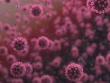 साउथ अफ्रीका में मिले नए कोरोना के स्ट्रेन पर काम नहीं करेगी वैक्सीन! ब्रिटेन के वैज्ञानिक चिंतित