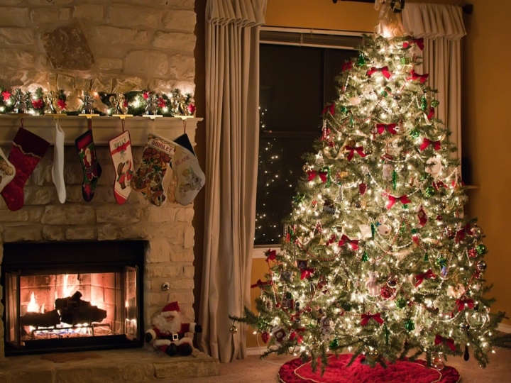 Know Why Christmas Tree Is Decorated On Christmas How Do You Celebrate This  Day | Christmas 2020: जानिए क्रिसमस के मौके पर क्यों डेकोरेट किया जाता है क्रिसमस  ट्री, कैसे करते हैं