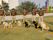 दिल्ली मेट्रो और कुंभ मेले में सेवा दे चुके 8 कुत्तों को CISF ने दी विदाई