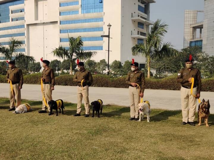 दिल्ली मेट्रो और कुंभ मेले में सेवा दे चुके 8 कुत्तों को CISF ने दी विदाई