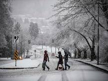 उत्तर भारत के कई हिस्सों में हुई बारिश से बढ़ी ठंड, तापमान रहा सामान्य से अधिक