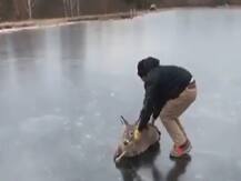 Viral Video: ठंड से जमी झील में फंसा हिरण, अनोखे तरीके से बचाने का वीडियो हुआ वायरल