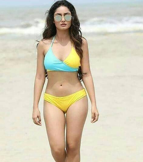 2015 में उन्होंने तेलुगू फिल्म इंडस्ट्री में फिल्म सूर्या वर्सेज सूर्या से डेब्यू किया. इसी साल मैरी क्रिसमस नाम की बंगाली मूवी में काम किया. (Pic credit: Instagram)