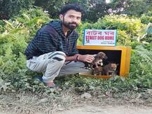 Trending: TV सेट का इस्तेमाल कर बनाया कुत्तों के लिए घर, सोशल मीडिया पर वायरल है ये शख्स