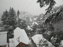 PHOTOS: शिमला में सीजन की सबसे जबर्दस्त बर्फबारी- गाड़ियां बर्फ में दबीं, आवाजाही पर असर