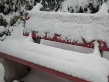 PHOTOS: शिमला में सीजन की सबसे जबर्दस्त बर्फबारी- गाड़ियां बर्फ में दबीं, आवाजाही पर असर