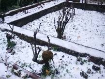 उत्तराखंड: मसूरी में सीजन की पहली बर्फबारी से खिले सैलानियों के चेहरे, मौसम विभाग ने जारी किया अलर्ट