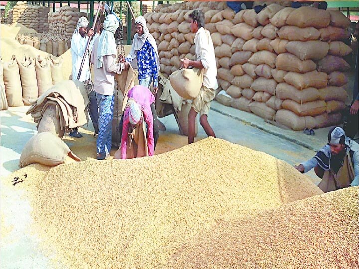 Nodal Officer visiting the paddy purchase center in Uttar pradesh लखनऊ: कड़ाके की ठंड में धान खरीद केंद्रों का दौरा कर रहे हैं सूबे के आला अफसर, किसान हैरान