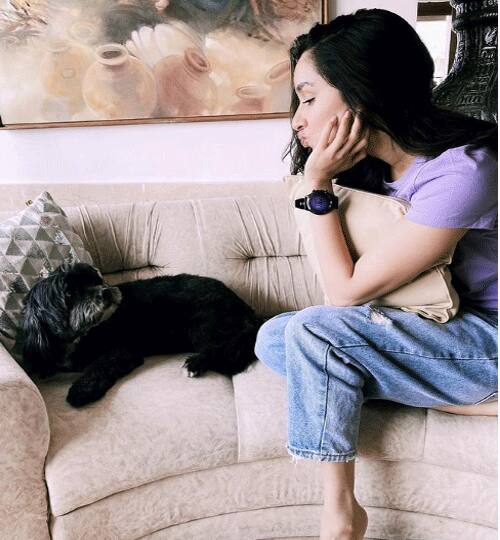 श्रद्धा कपूर (Shraddha kapoor)- को भी पेट्स का काफी शौक है. उनके पास एक डॉग है जिसका नाम है Shylo. अक्सर श्रद्धा Shylo के साथ तस्वीरें शेयर करती रहती हैं. 