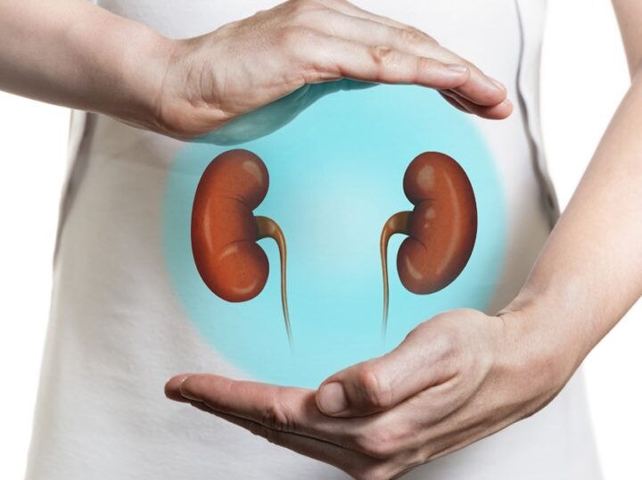 Kidney related diseases are very dangerous know how to prevent from it World kidney day: बेहद खतरनाक होती हैं किडनी से संबंधित बीमारियां, जानिए क्या हैं इनसे बचने के उपाय