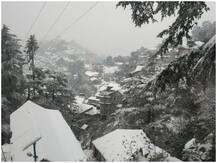 तस्वीरों में देखें प्रकृति का श्रृंगार, बर्फबारी ने बढ़ाई पहाड़ों की खूबसूरती