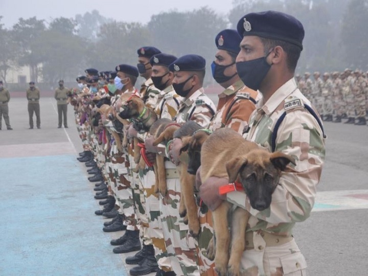 पूर्वी लद्दाख से सटी एलएसी के नामों पर ITBP ने रखा अपने K 9 स्क्वॉड के डॉग्स का नाम