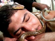 मिस्र के इस स्पा में लोगों को दी जाती है स्नेक मसाज, पीठ पर लेटा दिए जाते हैं ढेर सारे सांप