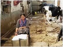 Success Story: कभी घर के खटाल में गोबर उठाती थी, अब जज बनकर दूधवाले की बेटी ने किया नाम रोशन