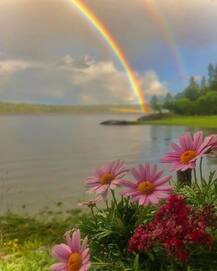 Night Life के हैं शौकीन तो बहुत पसंद आएंगे ये जगह, देखें लिस्ट