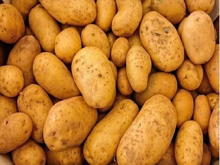 Health Tips: आप भी रोजाना करते हैं आलू का सेवन, जानें क्या हैं इसके साइड इफेक्ट्स Health Tips: If you also consume potato daily know what are its side effects Harmful effects and danger of eating Health Tips: आप भी रोजाना करते हैं आलू का सेवन, जानें क्या हैं इसके साइड इफेक्ट्स
