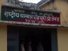 आगरा: चंबल क्षेत्र में तेंदुए के आतंक से इलाके में हड़कंप, दहशत में ग्रामीण