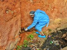 Bird Flu: केरल में मुर्गों और बत्तखों को मारना शुरू किया गया, छह राज्यों में अलर्ट, देखें तस्वीरें