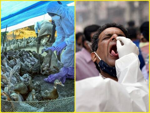 बड़ी खबरें | देश के चार राज्यों में बर्ड फ्लू से हड़कंप, देश में कोरोना से मौत का आंकड़ा डेढ़ लाख के पार