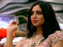 BB14: अर्शी खान की बहन ने किया खुलासा- शो में आने के पहले से ही रुबीना और अभिनव को नापसंद करती थी अर्शी