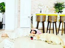 घर पर यूं टाइम पास कर रही हैं Anushka Sharma, वीडियो शेयर कर बताया - ‘इंसानों के सलून में डॉगी कैसा देगा रिएक्शन’