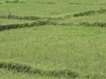 बिहार: अब एक क्लिक में मिलेगा हर गांव के जमीन मालिकों का नाम और रकबा