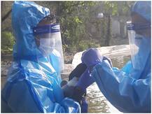 जम्मू: राजौरी में पक्षियों की रहस्यमय तरीके से मौत, बर्ड फ्लू की जांच के लिए सैंपल लिए गए