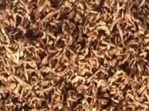 ये है 75 हजार रुपये की कीमत वाली चायपत्ती, जानिए क्या है खासियत और क्यों हैं दुनियाभर में डिमांड