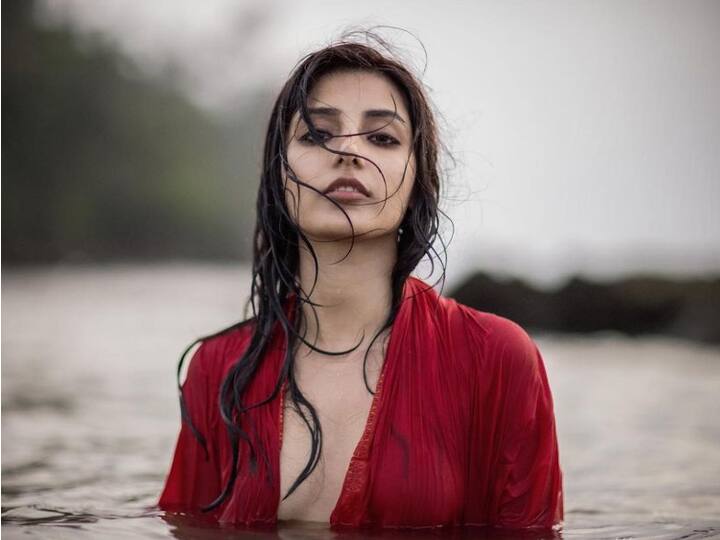 वेबसीरीज 'मिर्जापुर' ने कई कलाकारों की किस्मत चमका दी. इनमें से एक हैं हर्षिता गौर जिन्होंने सीरीज़ में गुड्डू और बबलू की बहन 'डिंपी' का किरदार निभाया. इस किरदार में हर्षिता को काफी पसंद किया गया. इस सीरीज़ में हर्षिता अपना बेहतरीन काम दिखाकर काफी चर्चा में रहीं और दर्शकों ने उन्हें हाथों हाथ लिया. हाल ही में हर्षिता ने सोशल मीडिया पर अपनी कुछ ग्लैमरस तस्वीरें पोस्ट की हैं. 