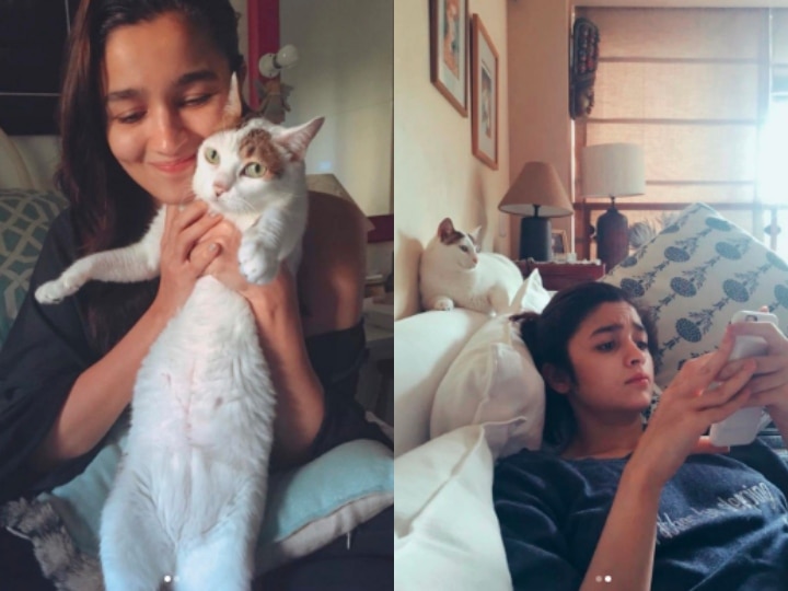bollywood actress Alia Bhatt cat died instagram post हमेशा के लिए साथ छोड़कर गई आलिया भट्ट की बिल्ली, एक्ट्रेस ने इस अंदाज में दी आखिरी विदाई