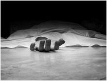 मुंबई: न्यू ईयर पार्टी में लड़की की हत्या के केस की जांच ड्रग पेडलर तक पहुंची, हुआ गिरफ्तार-नई FIR भी हुई दर्ज