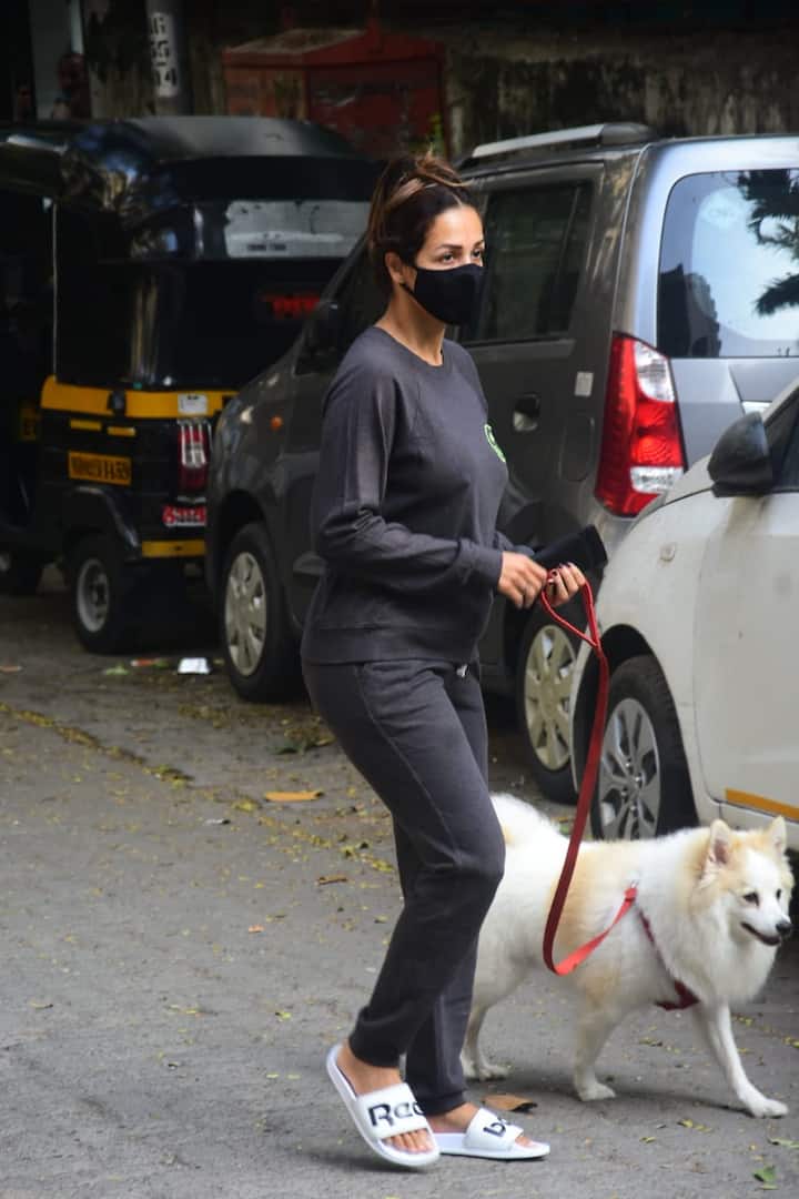 अक्सर योगा सेंटर और जिम के बाहर स्पॉट होने वाली मलाइका अरोड़ा(Malaika Arora) आज अपने घर के बाहर मॉर्निंग वॉक करती हुईं स्पॉट हुई. इस दौरान वो ग्रे कलर के ट्रैक सूट में नज़र आईं.
