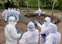 Bird Flu Update: राजधानी दिल्ली में भी बर्ड फ्लू की पुष्टि, मरे हुए बत्तखों और कौवों में मिला वायरस