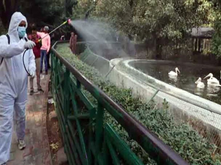 Alertness increased due to fear of bird flu in Uttar Pradesh यूपी में बर्ड फ्लू को लेकर बढ़ी सतर्कता, जलाशयों पर रखी जा रही है विशेष निगरानी