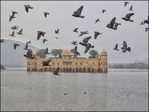 राजस्थान में बढ़ते बर्ड फ्लू के खतरे के बीच जयपुर के चिड़ियाघर में चार पक्षियों की मौत, लैब भेजे गए सैंपल