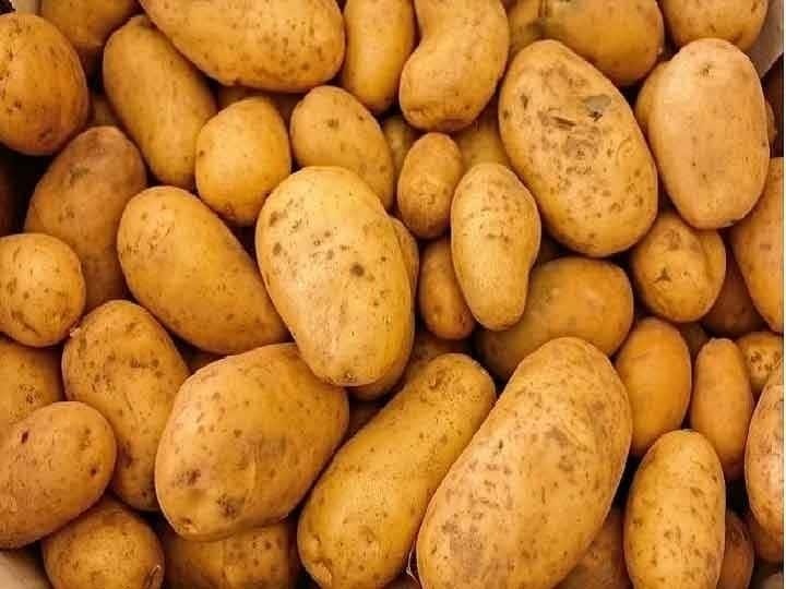 Health Tips: अगर आप भी रोजाना करते हैं आलू का सेवन, तो जान लीजिये इससे होने वाले ये साइड इफेक्ट्स Health Tips: Potatoes Are Bad For You disadvantages Harmful effects and danger of eating Health Tips: अगर आप भी रोजाना करते हैं आलू का सेवन, तो जान लीजिये इससे होने वाले ये साइड इफेक्ट्स