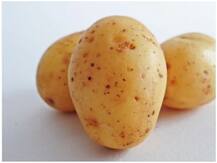 Health tips: क्या आलू सेहत को सिर्फ फायदा ही पहुंचाता है? जानिए इस सब्जी के साइड-इफेक्ट्स के बारे में भी