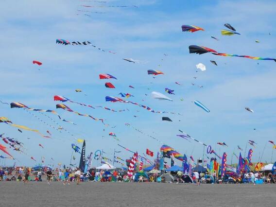 Makar Sankranti 2023 : প্রতিটি কাজে মিলবে সাফল্য, মকর সংক্রান্তিতে ভাগ্য খুলে যাবে এই রাশিগুলির !