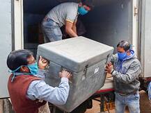 सीरम ने 95 फीसदी खुराक की डिलीवरी की, भारत बायोटेक ने 11 शहरों में भेजी कोरोना वैक्सीन