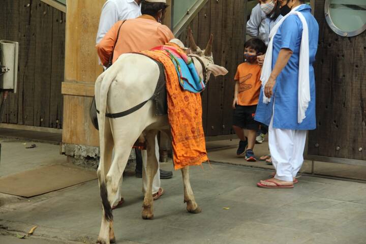 फैंस को तैमूर का ये क्यूट अंजाद काफी पसंद आ रहा है. (Photo Credit: Manav Maglani)