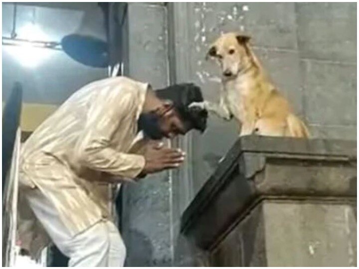 Viral Video Dog blesses people outside Siddhivinayak temple in Maharashtra अनोखा नज़ारा: मंदिर के बाहर कुत्ता दे रहा है आशीर्वाद, लाखों लोग देख चुके ये Video