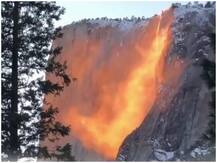 उत्तराखंड: जंगल में लगी आग को काबू में करने के लिए महिला वनकर्मी ने संभाली कमान