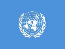 भारत के 1.8 करोड़ प्रवासी रह रहे हैं दूसरे देशों में, सबसे ज्यादा यूएूई में- संयुक्त राष्ट्र