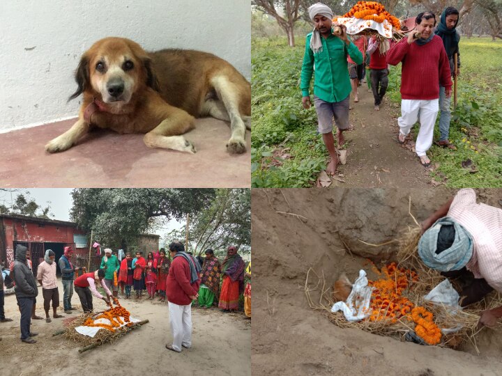 Purniya News: Owner Decorated Faithful Dog Bier Last Ride Journey Unique Way  ann वफादार कुत्ते के लिए मालिक ने सजाई अर्थी, अनोखे तरीके से निकली 'ब्राउनी' की अंतिम यात्रा