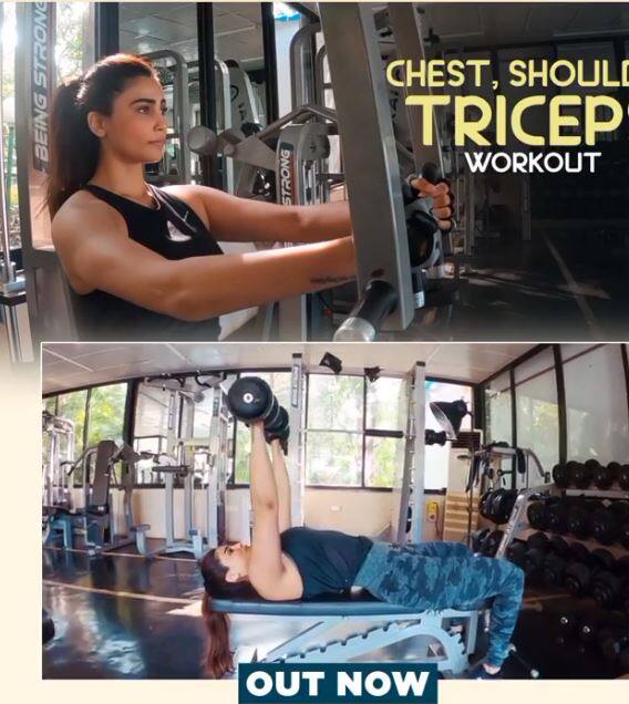 डेजी अब बॉडी ट्रांसफॉर्मेशन को लेकर ब्लॉग्स भी बनाती हैं. वो फैंस को बताती हैं कि घर बैठे कैसे खुद को फिट रखें.