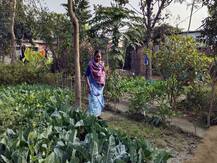 बेमिसाल है मेरठ का ये गांव, पेश कर रहा बूंद-बूंद पानी बचाने की मिसाल