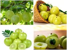 Health Tips: अगर आप करते हैं आंवले का सेवन, तो जान लीजिये उससे होने वाले नुकसान