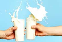 World Milk Day 2021: ਦੁਨੀਆਂ ਭਰ 'ਚ ਅੱਜ ਮਨਾਇਆ ਜਾ ਰਿਹੈ ਵਿਸ਼ਵ ਮਿਲਕ ਡੇਅ, ਜਾਣੋ ਇਤਿਹਾਸ ਤੇ ਥੀਮ