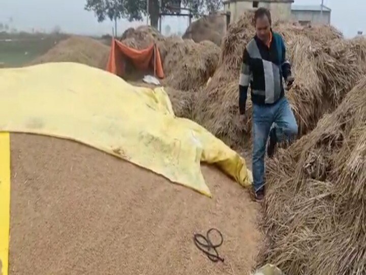 Bihar: Farmers traveling around office to sell paddy, pleading with officials ann बिहार: धान बेचने के लिए कार्यालय का चक्कर काट रहे किसान, अधिकारियों से लगा रहे गुहार